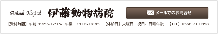 Animal Hospital 伊藤動物病院