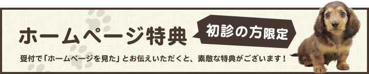 ホームページ特典